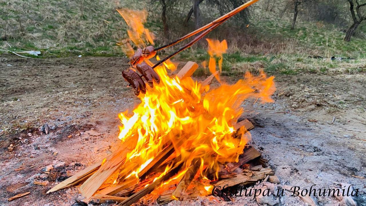 Chalupa U Bohumila Rybna nad Zdobnici エクステリア 写真