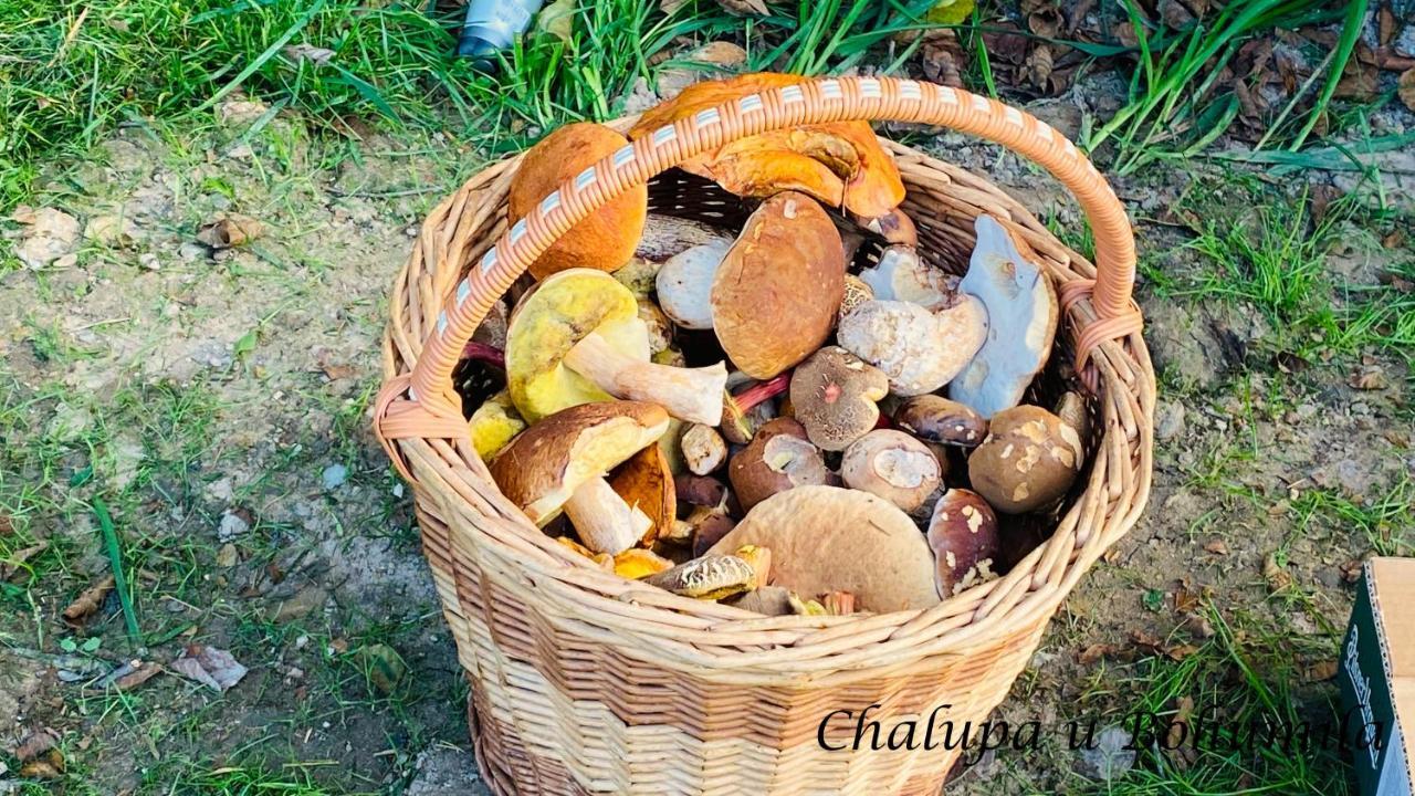 Chalupa U Bohumila Rybna nad Zdobnici エクステリア 写真