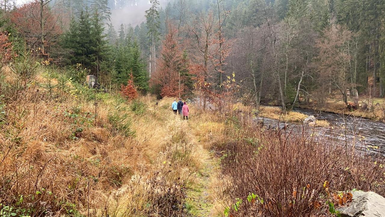 Chalupa U Bohumila Rybna nad Zdobnici エクステリア 写真